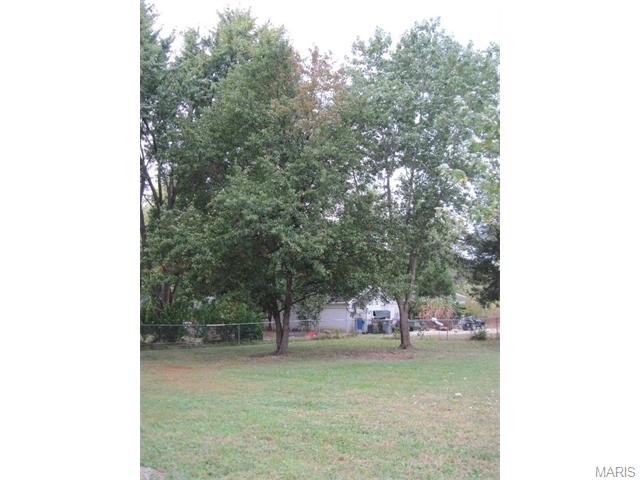 41 Plackemeier Dr, O'fallon, MO 63366 photo 27