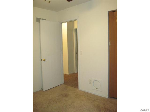 41 Plackemeier Dr, O'fallon, MO 63366 photo 20