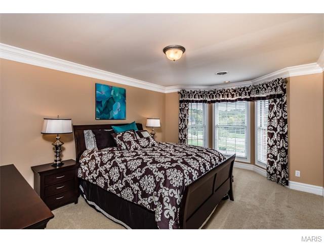 921 Stonecastle Dr, O'fallon, MO 63366 photo 44