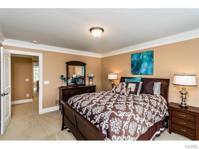 921 Stonecastle Dr, O'fallon, MO 63366 photo 45