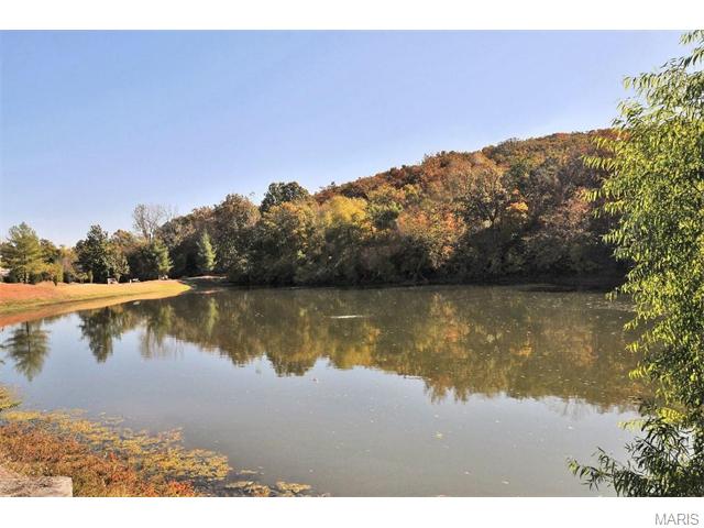 740 Hilltop Woods, Eureka, MO 63025 photo 35