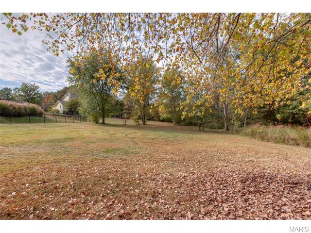 121 Cedar Ridge Ct, Weldon Spring, MO 63304 photo 2