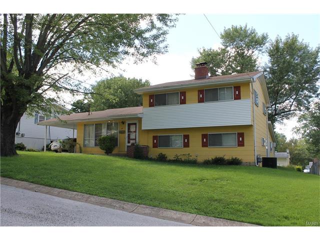 27 Roesner, Union, MO 63084 photo 1
