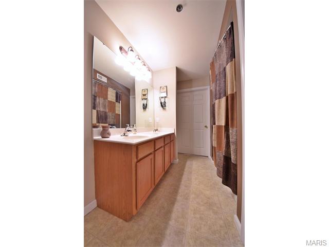 11203 Spring Creek Ln, O'fallon, MO 63368 photo 18