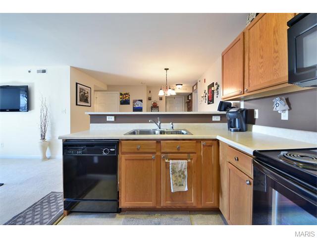 11203 Spring Creek Ln, O'fallon, MO 63368 photo 14