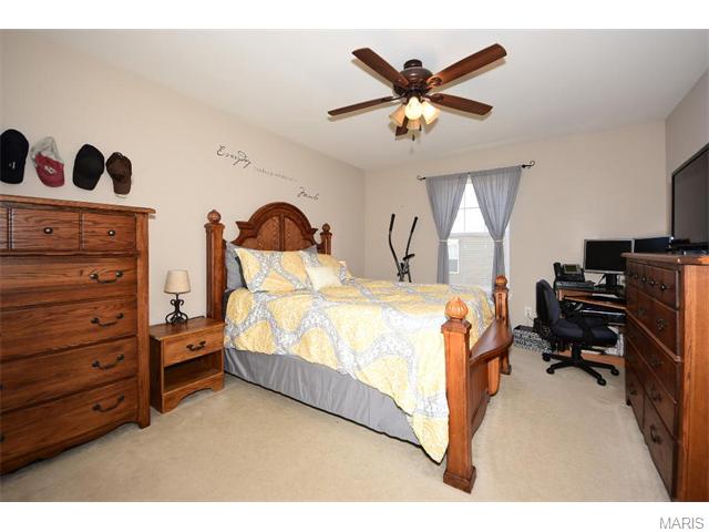 11203 Spring Creek Ln, O'fallon, MO 63368 photo 17