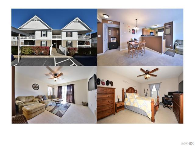 11203 Spring Creek Ln, O'fallon, MO 63368 photo 1