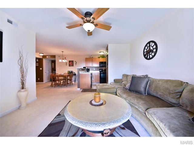 11203 Spring Creek Ln, O'fallon, MO 63368 photo 15
