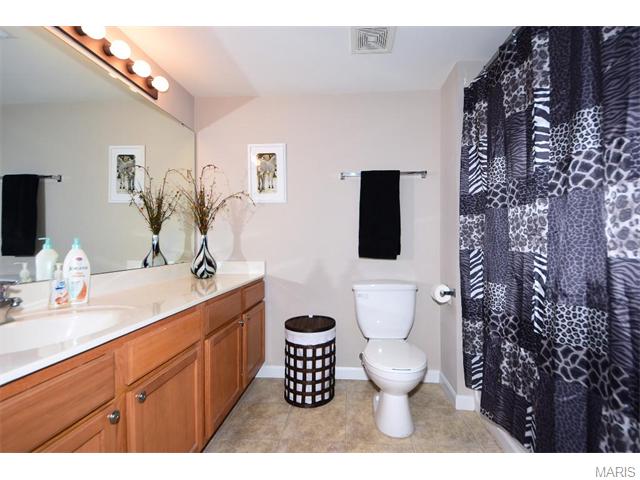 11203 Spring Creek Ln, O'fallon, MO 63368 photo 23