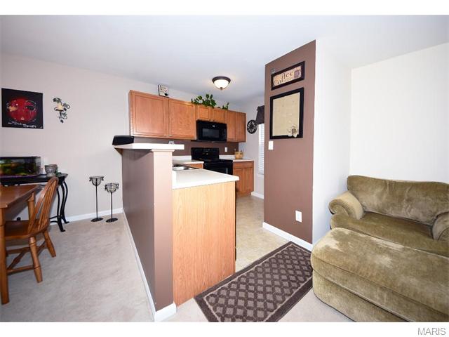 11203 Spring Creek Ln, O'fallon, MO 63368 photo 11