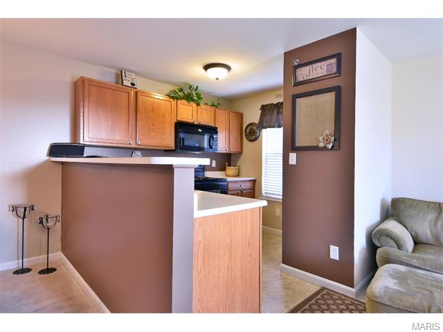 11203 Spring Creek Ln, O'fallon, MO 63368 photo 12