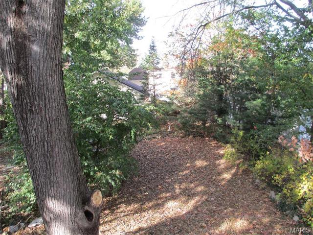 7341 Devonshire Ave, Saint Louis, MO 63119 photo 19