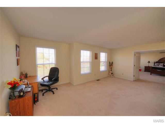 195 Abington Dr, Saint Peters, MO 63376 photo 19