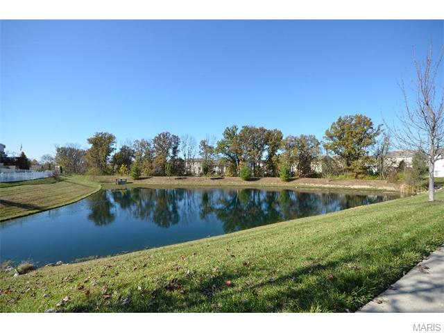 12300 Spring Crk, O'fallon, MO 63368 photo 14
