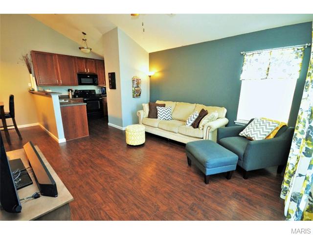 12300 Spring Crk, O'fallon, MO 63368 photo 22