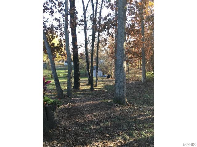 1 W Crestview Dr, O'fallon, MO 63366 photo 15