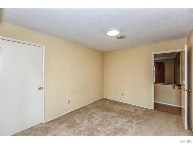 423 Brass Lamp, Ballwin, MO 63011 photo 16