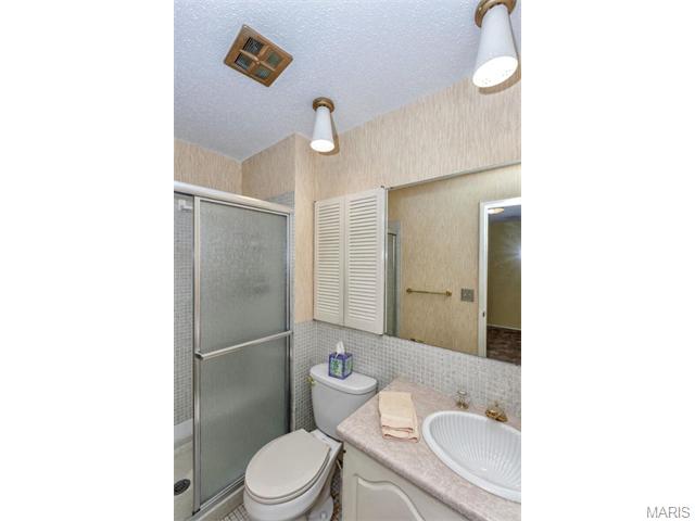 423 Brass Lamp, Ballwin, MO 63011 photo 23