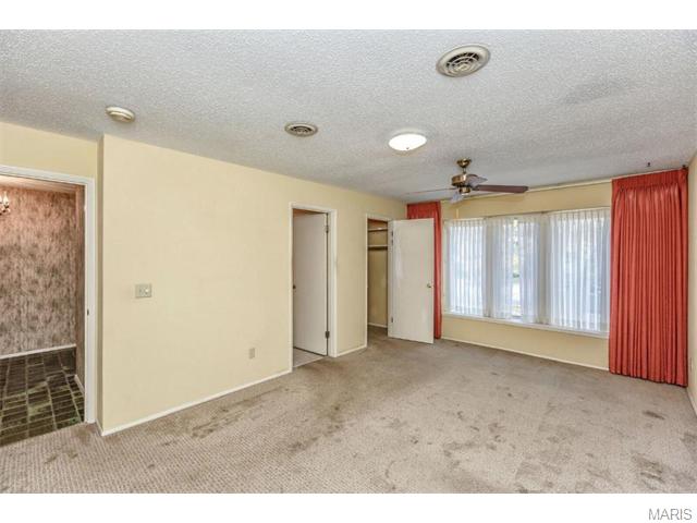 423 Brass Lamp, Ballwin, MO 63011 photo 20