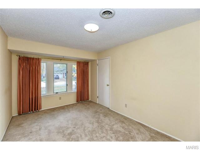 423 Brass Lamp, Ballwin, MO 63011 photo 15
