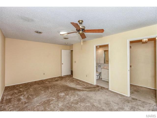 423 Brass Lamp, Ballwin, MO 63011 photo 21