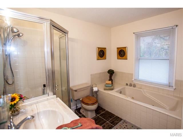 3444 Wright Ave, Saint Ann, MO 63074 photo 18