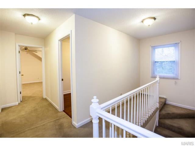 3444 Wright Ave, Saint Ann, MO 63074 photo 22