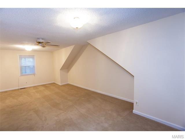 3444 Wright Ave, Saint Ann, MO 63074 photo 28