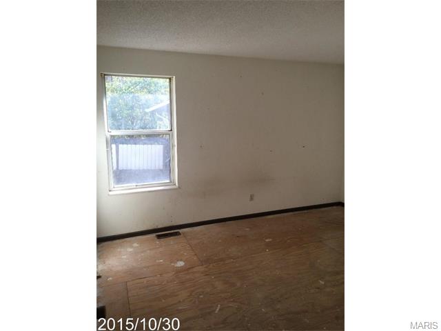 3426 Wright Ave, Saint Ann, MO 63074 photo 19