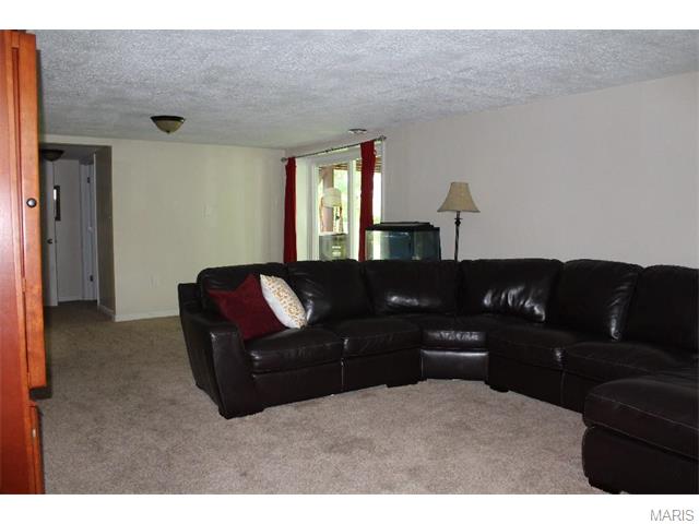 923 Napoli Dr, Ballwin, MO 63021 photo 11