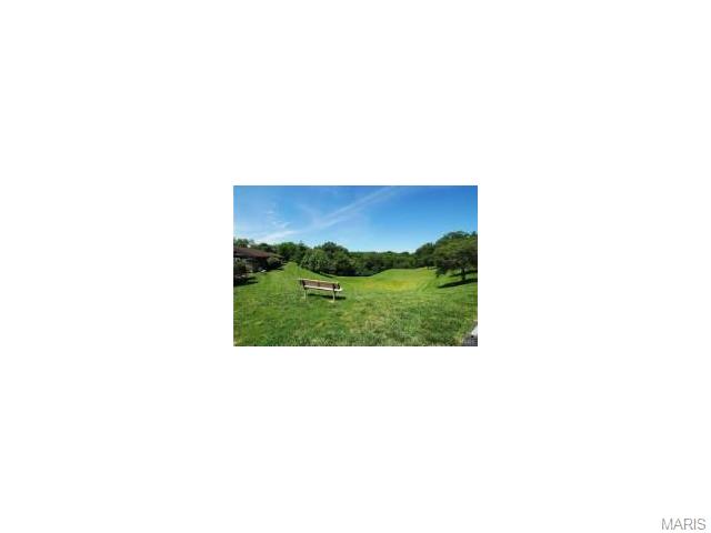 725 Ridgeside Dr #E, Ballwin, MO 63021 photo 24