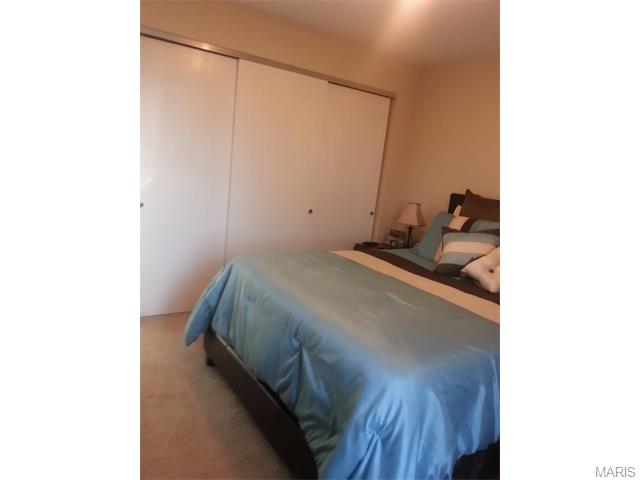 725 Ridgeside Dr #E, Ballwin, MO 63021 photo 15