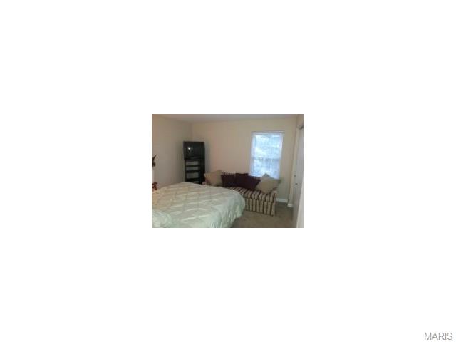 725 Ridgeside Dr #E, Ballwin, MO 63021 photo 20