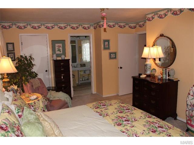 1155 Great Falls Ct, Manchester, MO 63021 photo 12