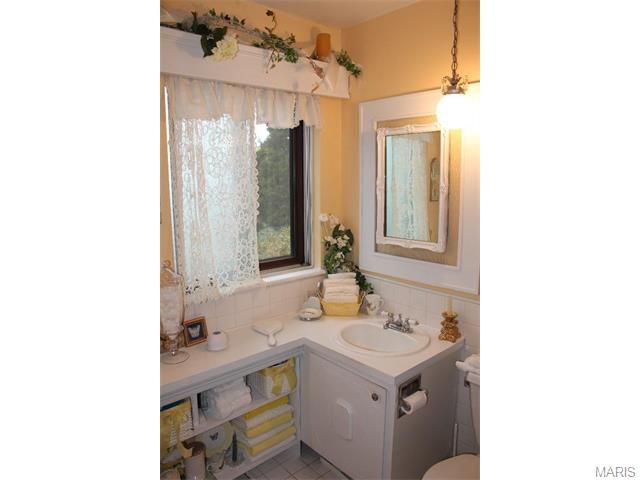 1155 Great Falls Ct, Manchester, MO 63021 photo 13