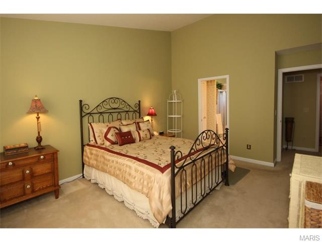 45 Turtle Creek Villas Dr, O'fallon, MO 63366 photo 16