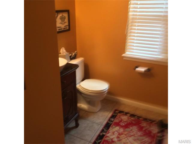 1520 Strawberry Glen Ct, Ballwin, MO 63021 photo 23