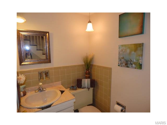 325 Willowick Dr, Ballwin, MO 63011 photo 17