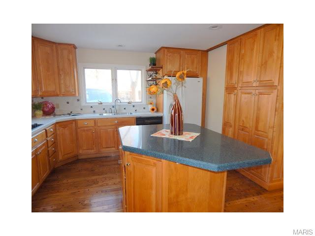 325 Willowick Dr, Ballwin, MO 63011 photo 24