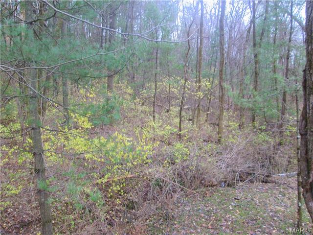 1406 Pine Ridge Ests, Ballwin, MO 63021 photo 38