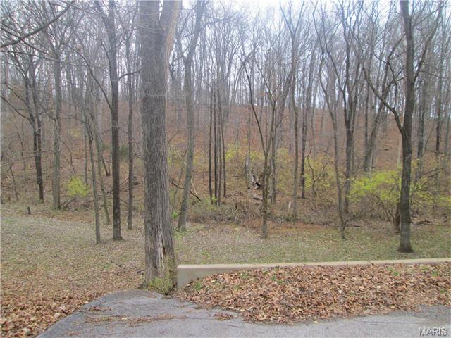 1406 Pine Ridge Ests, Ballwin, MO 63021 photo 50