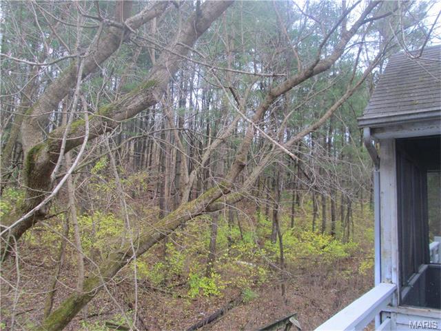1406 Pine Ridge Ests, Ballwin, MO 63021 photo 34