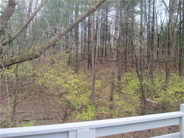 1406 Pine Ridge Ests, Ballwin, MO 63021 photo 37