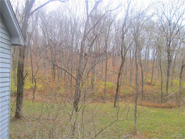 1406 Pine Ridge Ests, Ballwin, MO 63021 photo 33