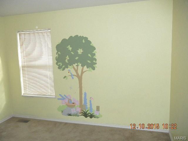 1040 Franko, O'fallon, MO 63366 photo 24