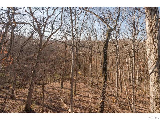 533 Wetherby Terrace Dr, Ballwin, MO 63021 photo 29