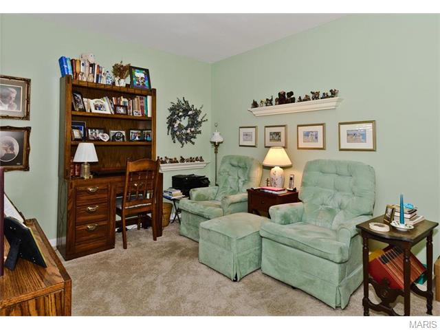 1741 Highview Circle Ct, Ballwin, MO 63021 photo 17