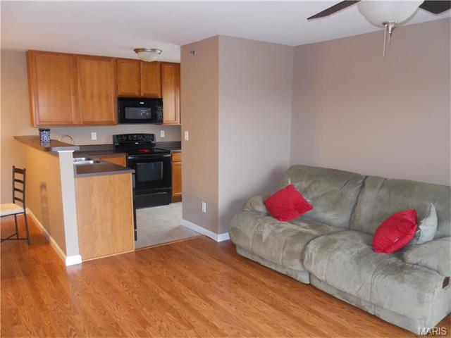 8200 Spring Creek Ln, O'fallon, MO 63368 photo 5
