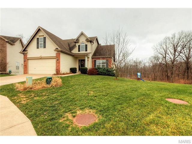 240 Spring Borough Dr, O'fallon, MO 63368 photo 2
