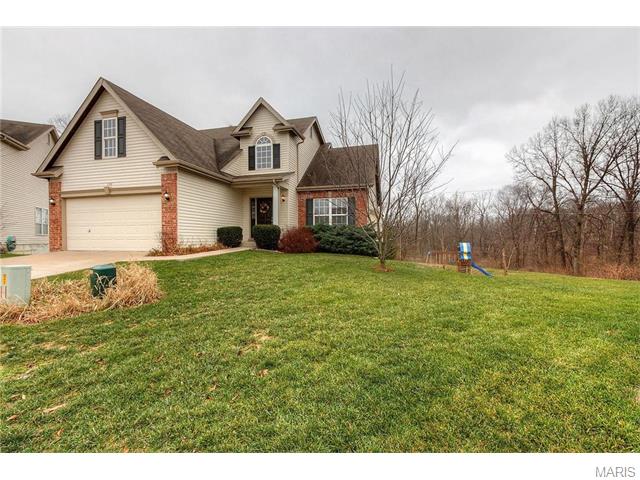 240 Spring Borough Dr, O'fallon, MO 63368 photo 27